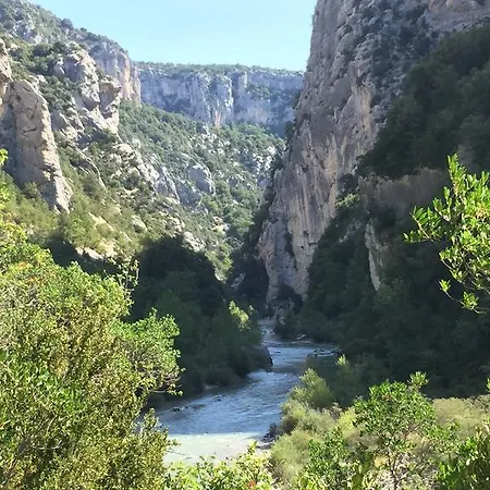 Les Grillons * Draguignan